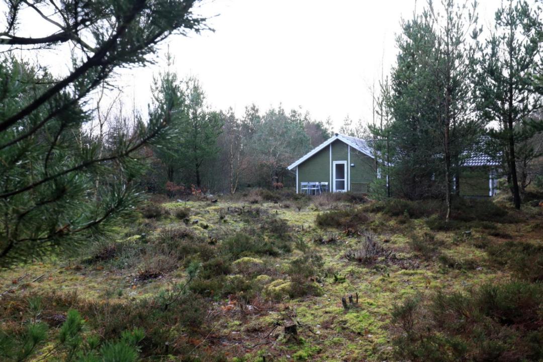 Photo of Others in Henne
