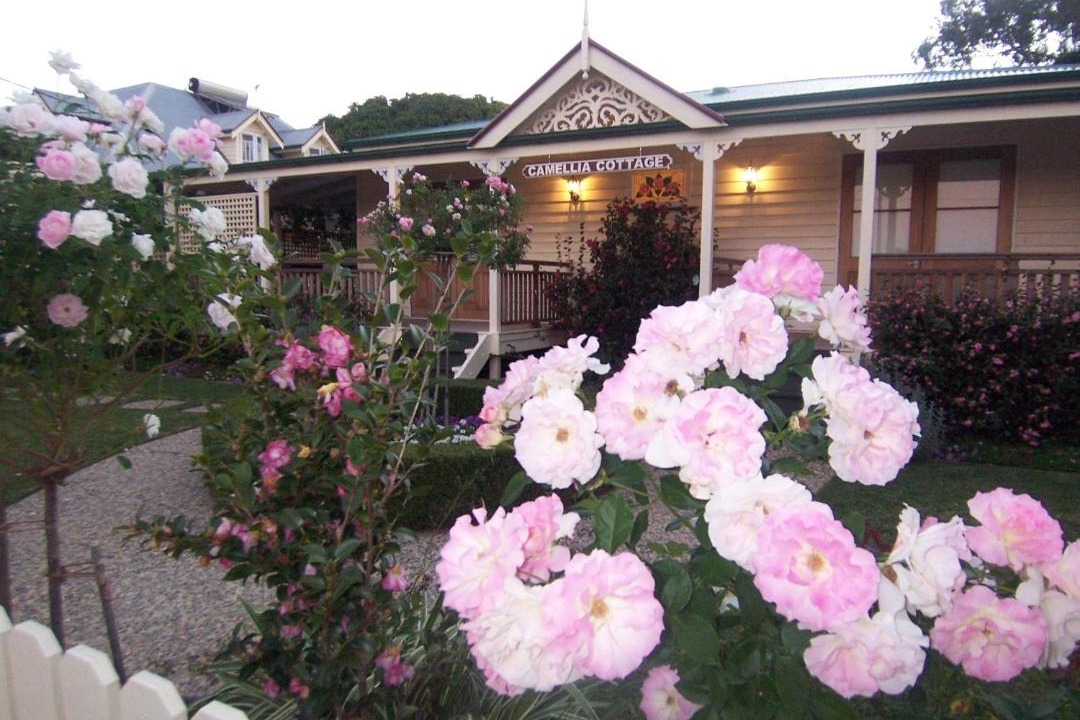 Photo of Others in Scarborough