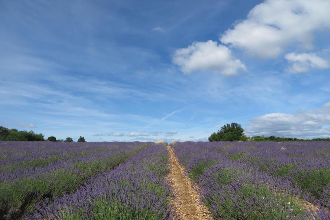 Photo of Others in Vagnas