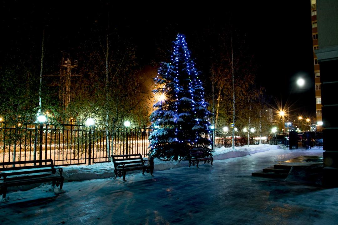 Photo of Outdoor in Ustinovskiy