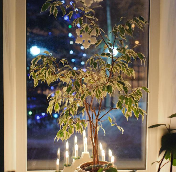 Photo of Others in Ustinovskiy