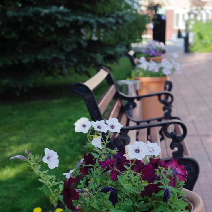 Photo of Others in Ustinovskiy