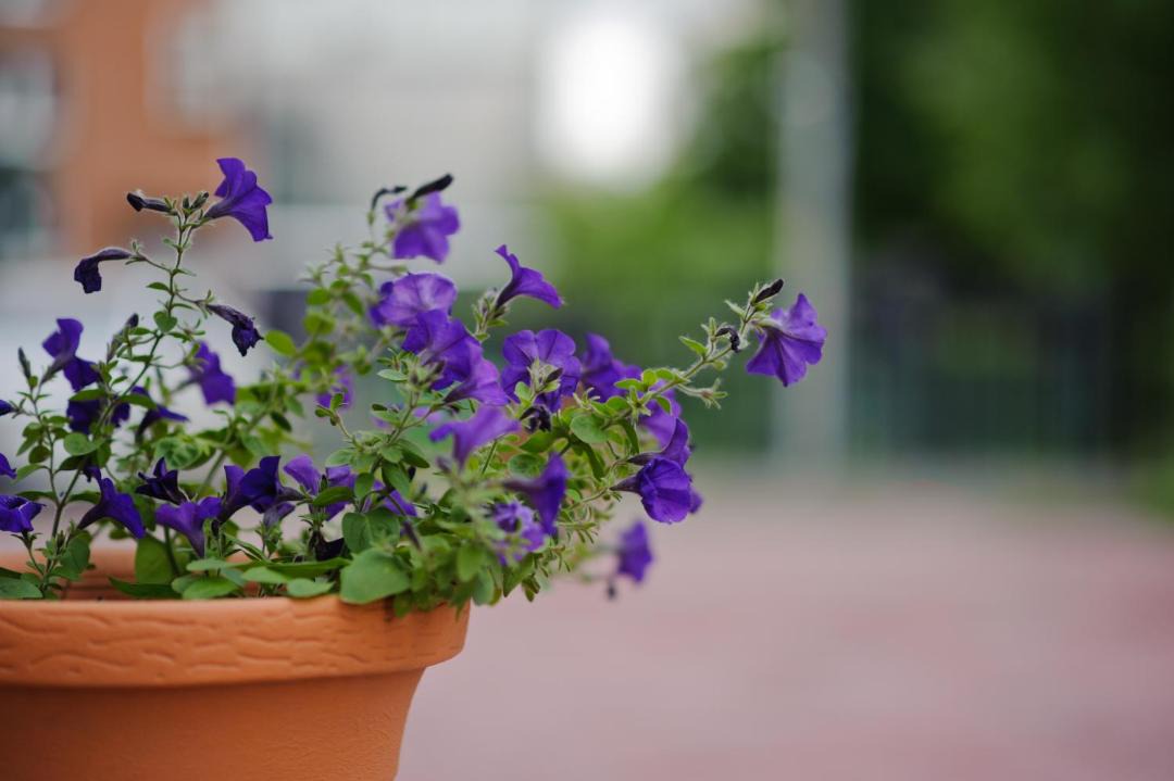 Photo of Others in Ustinovskiy