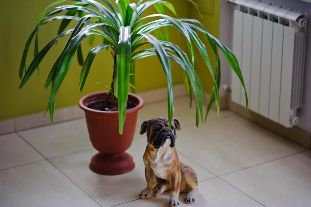 Photo of Others in Ustinovskiy