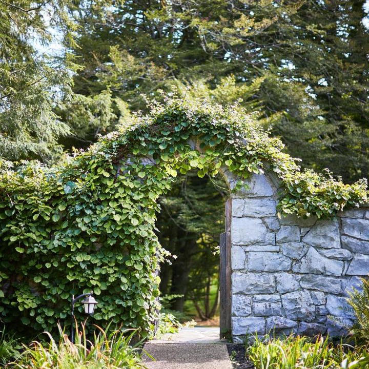 Photo of Others in Amenia