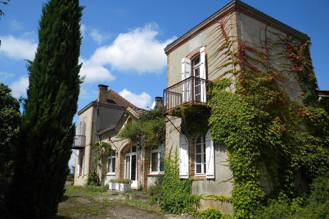 Photo of Others in L'Isle-Jourdain
