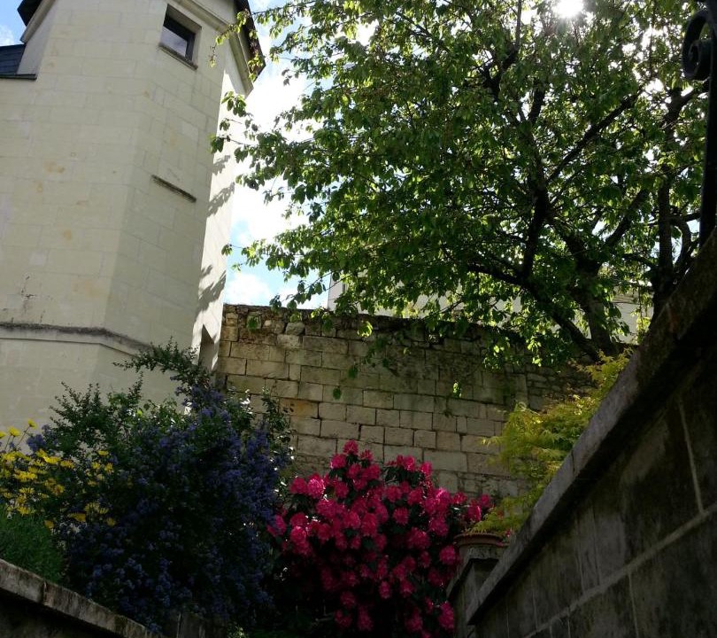 Photo of Others in Montsoreau