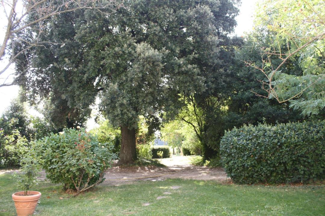 Photo of Others in Pont-Saint-Esprit