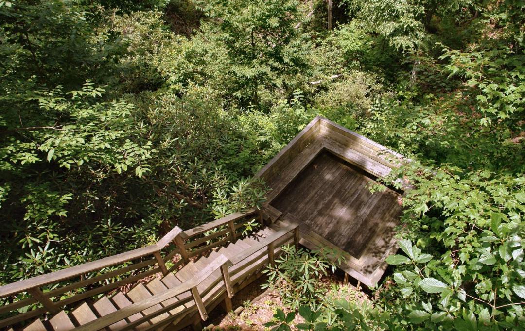 Photo of Others in Smoky Mountains