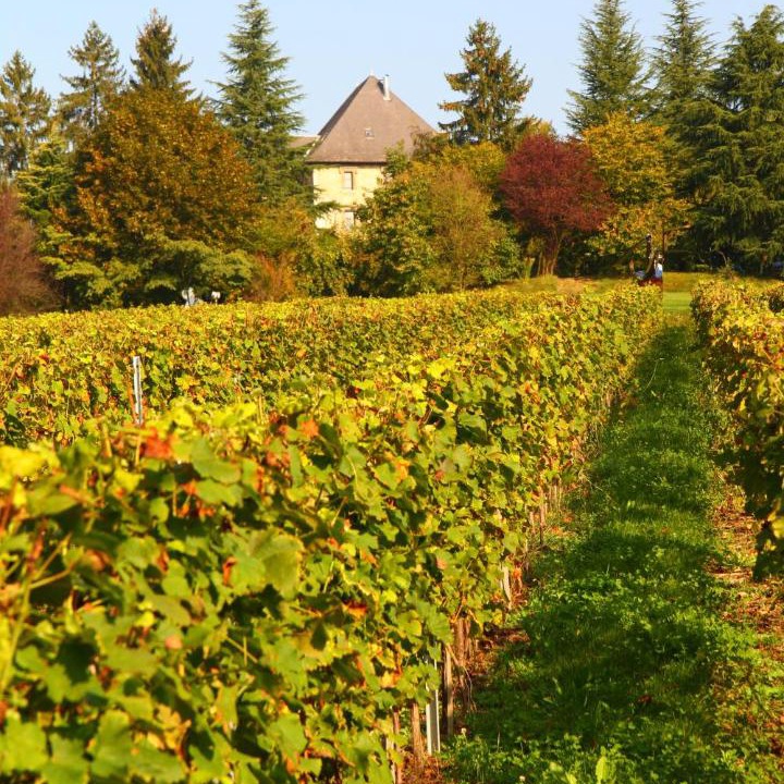 Photo of Others in Chambery