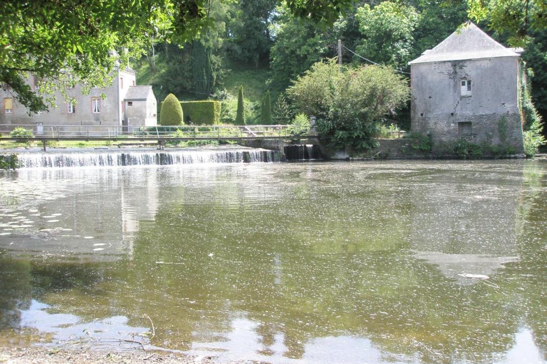 Photo of Others in Segre