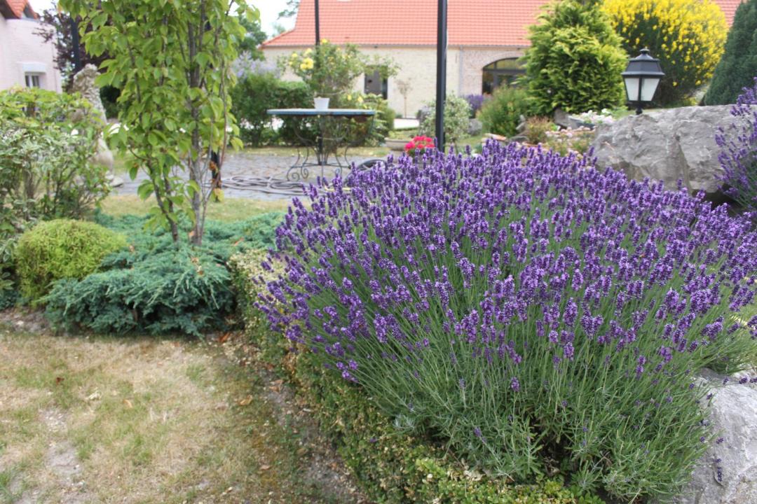 Photo of Others in Les Attaques