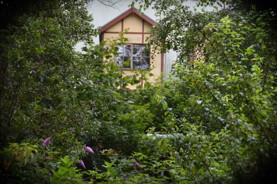 Photo of Others in Mount Dandenong