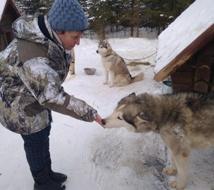 Photo of Others in Konchezero