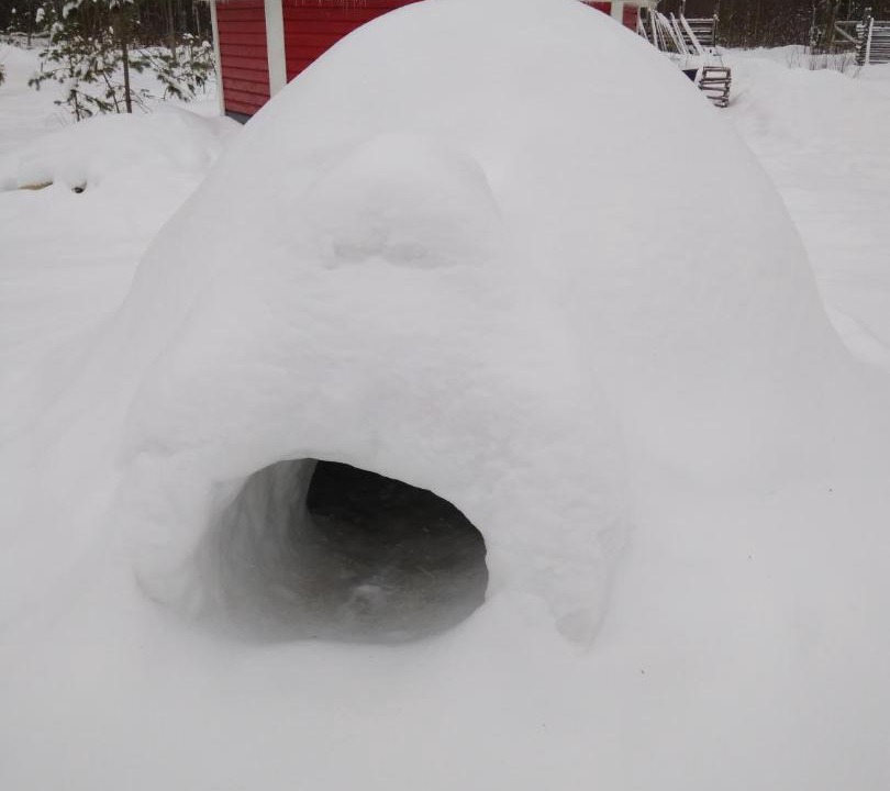 Photo of Bedroom in Konchezero