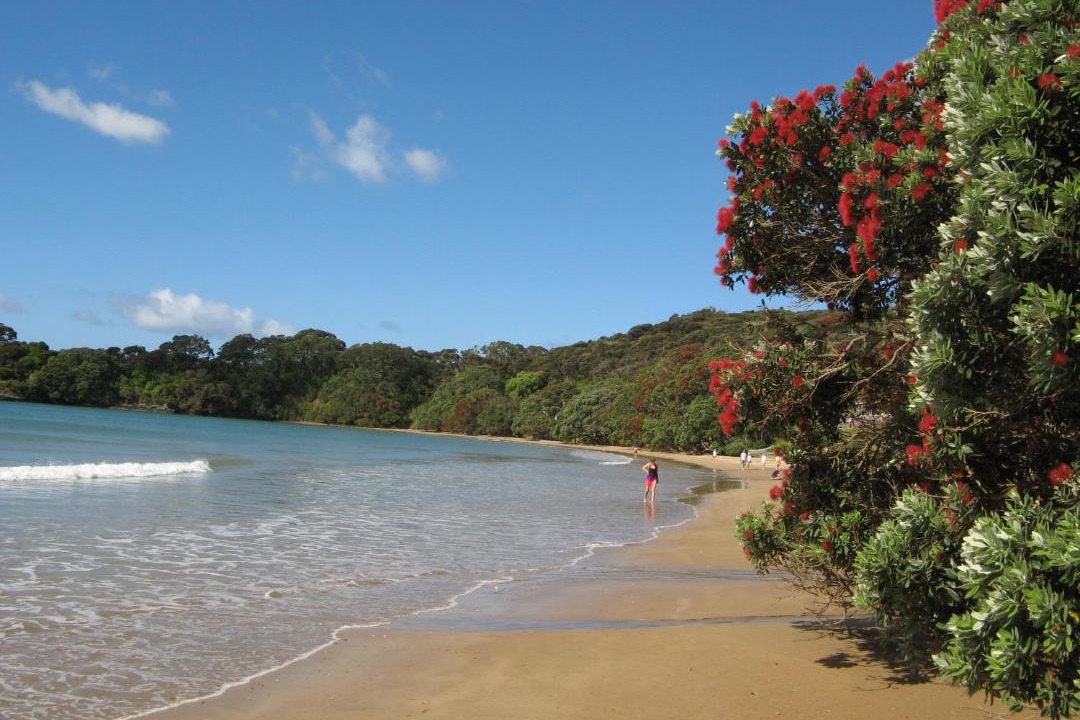 Photo of Outdoor in Coopers Beach