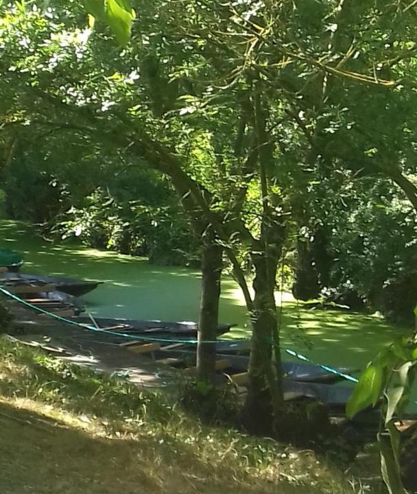 Photo of Outdoor in Vix