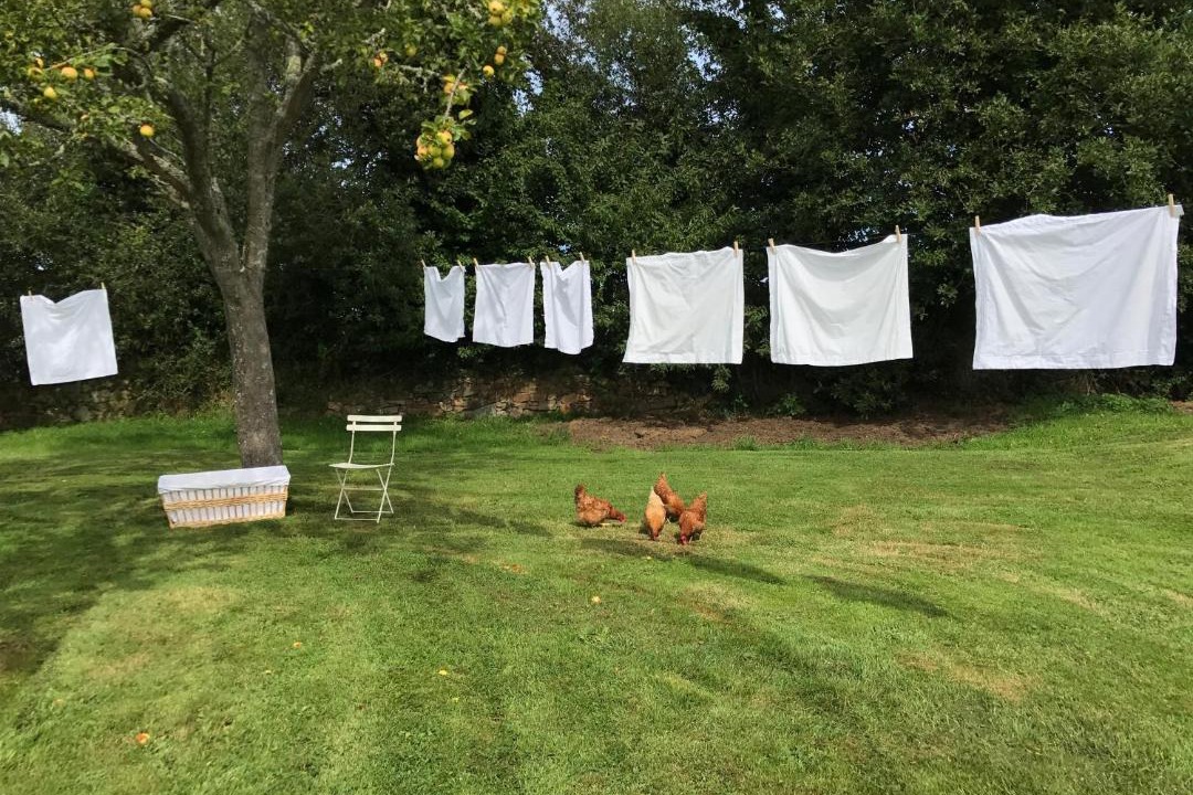 Photo of Others in Cite