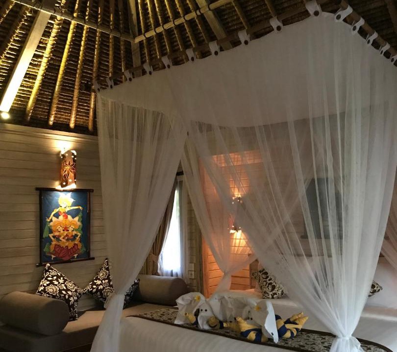 Photo of Others in Mushroom Bay