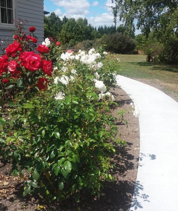 Photo of Outdoor in Halcombe