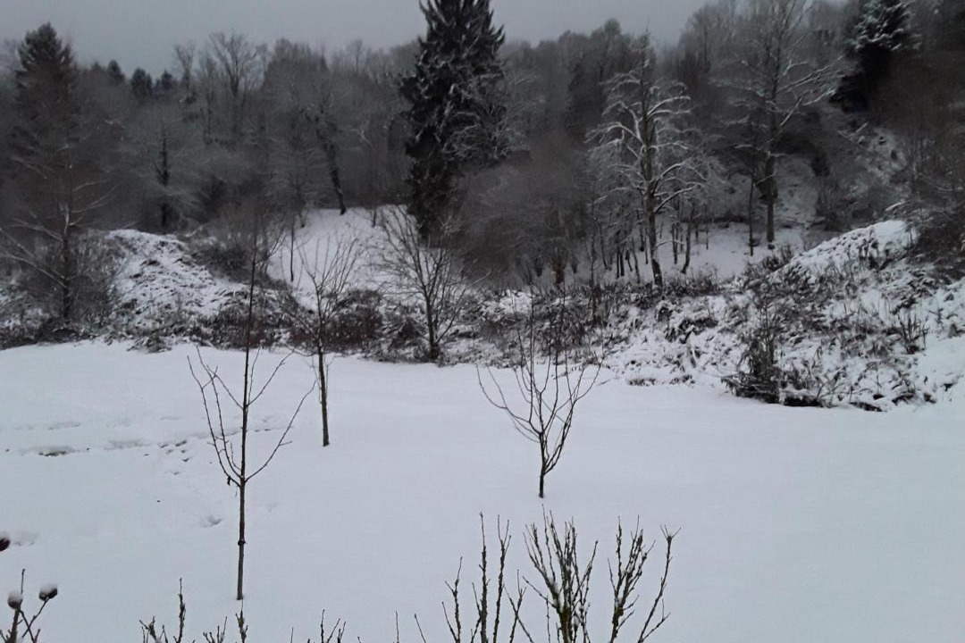 Photo of Others in Scionzier