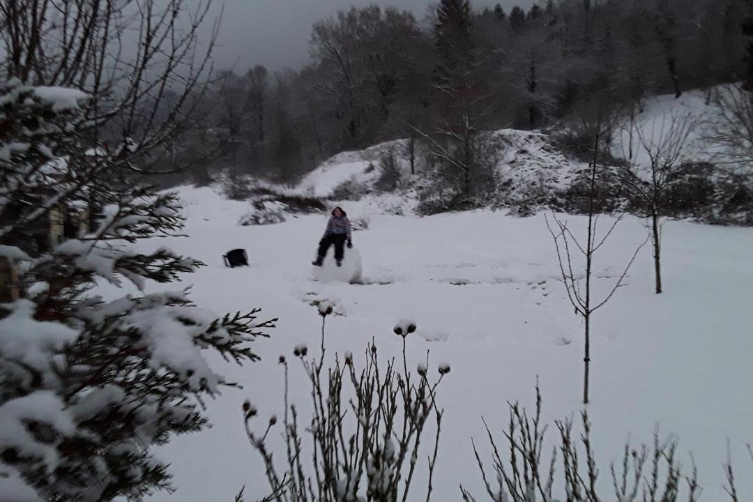 Photo of Others in Scionzier