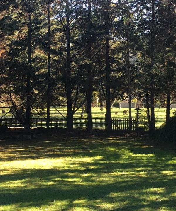 Photo of Others in Eildon