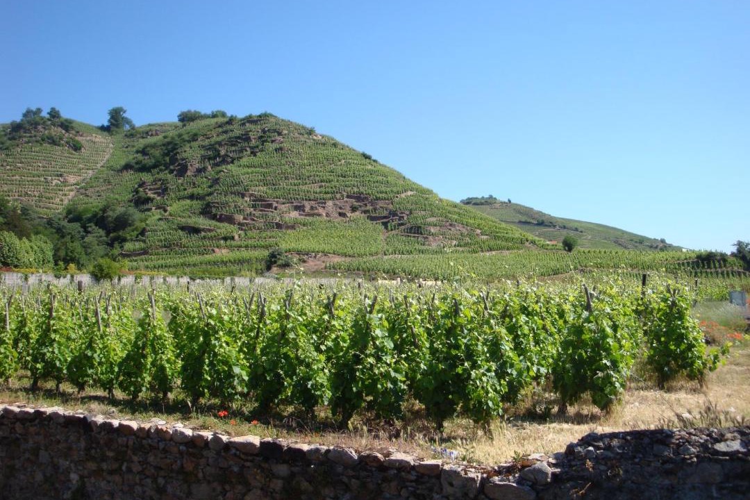 Photo of Others in Pelussin