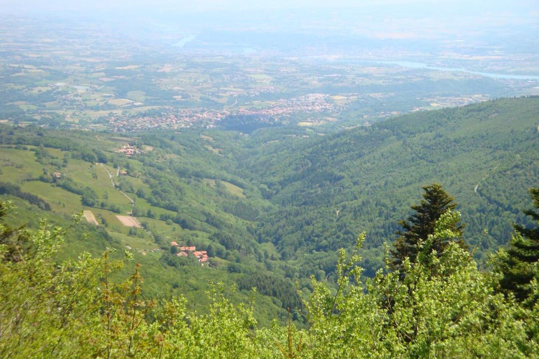 Photo of Others in Pelussin