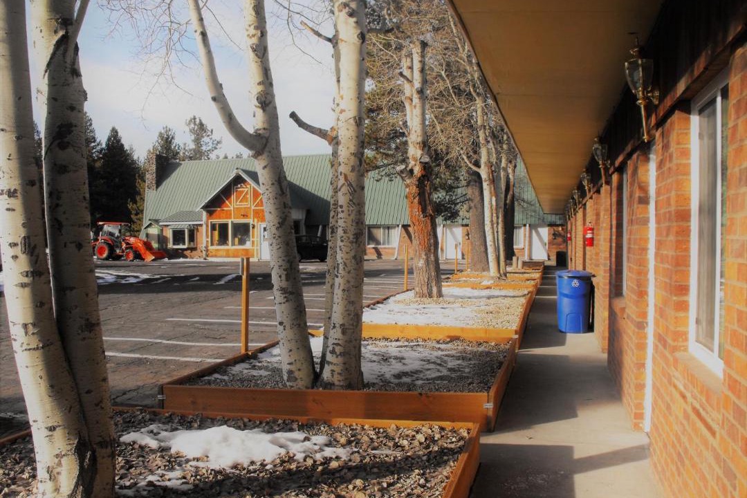 Photo of Others in Chemult