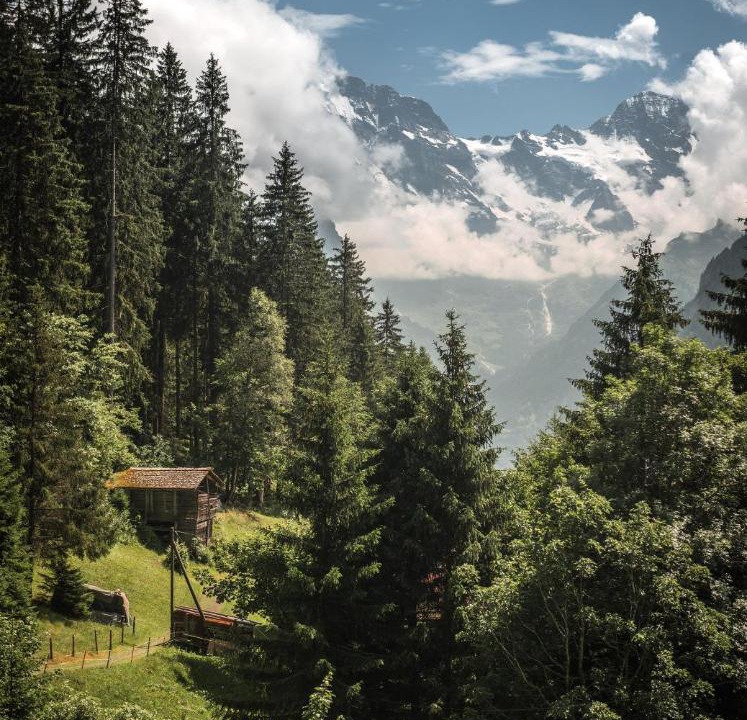 Photo of Others in Wengen