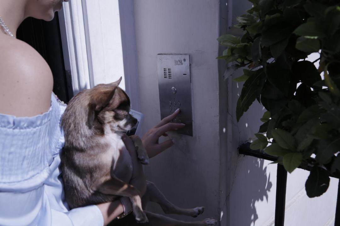 Photo of Others in Belgravia