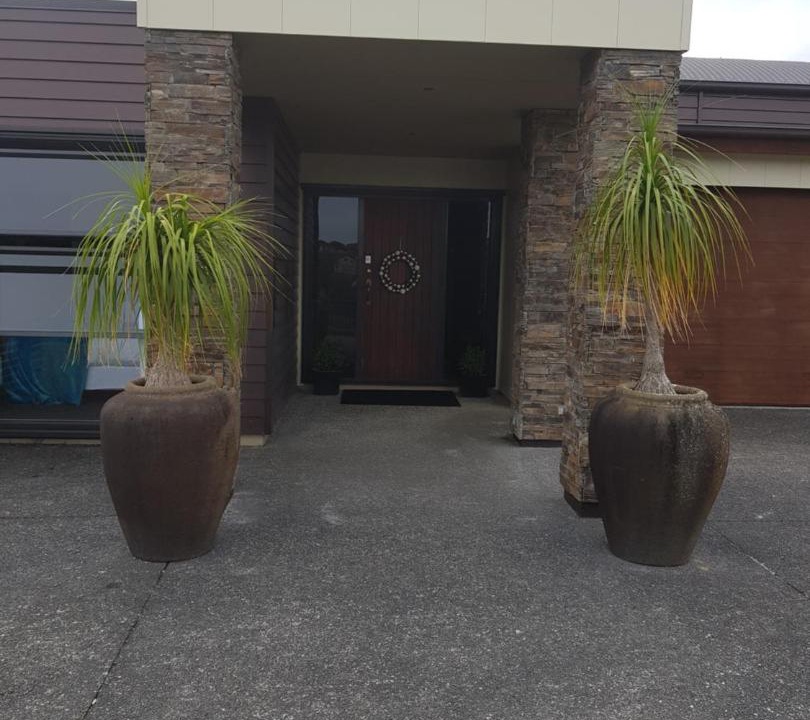 Photo of Others in New Plymouth