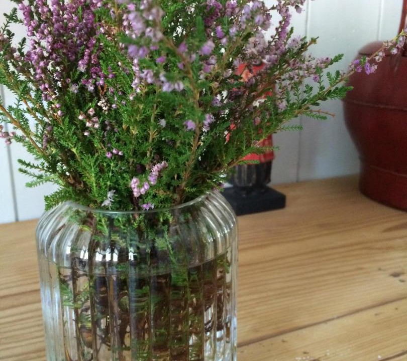 Photo of Others in Obersteinbach