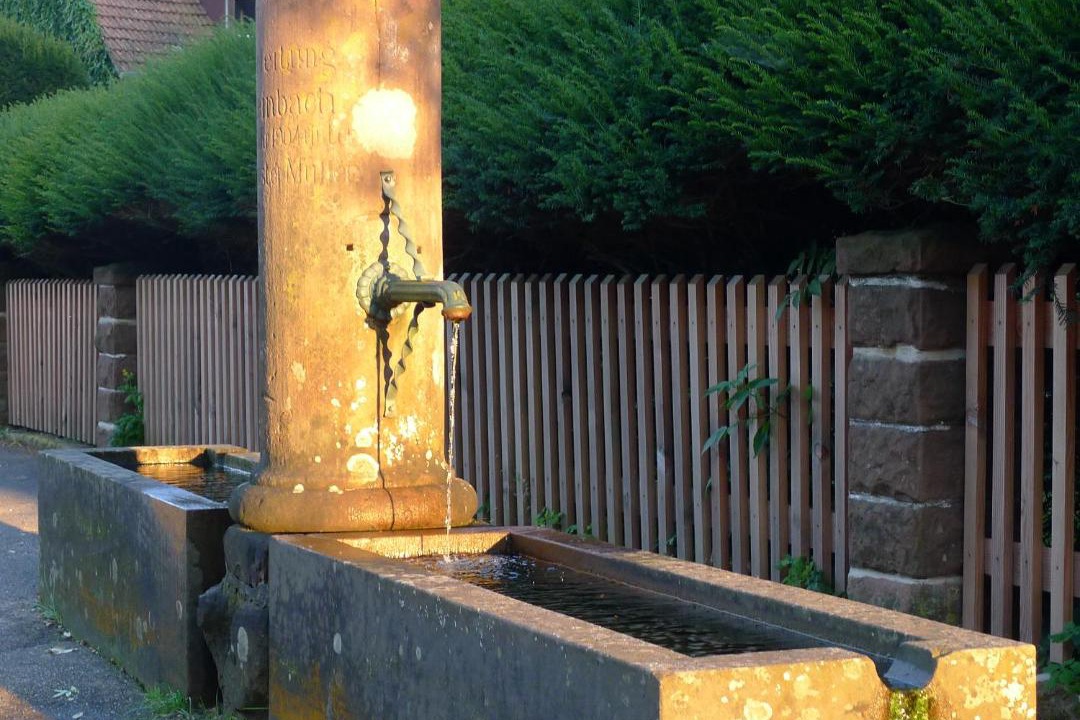 Photo of Others in Obersteinbach