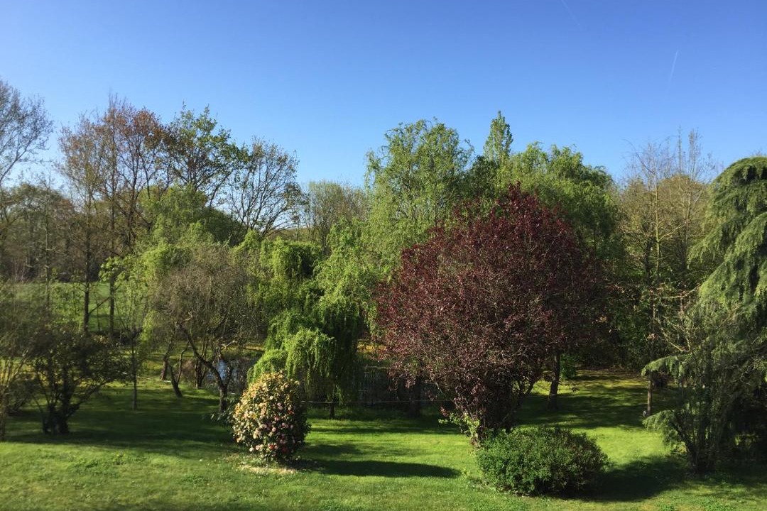 Photo of Others in Suce-sur-Erdre