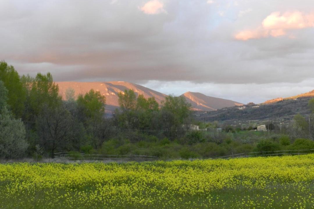 Photo of Others in Gargas