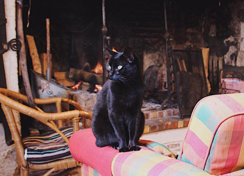 Photo of Others in Moirax