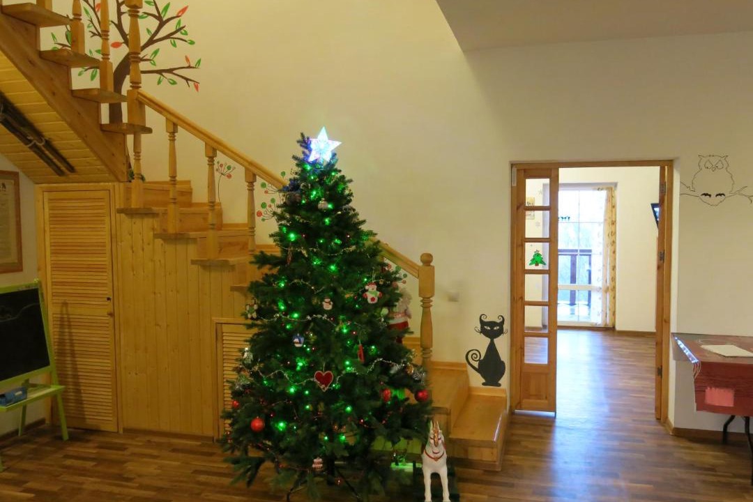 Photo of Others in Strekovo