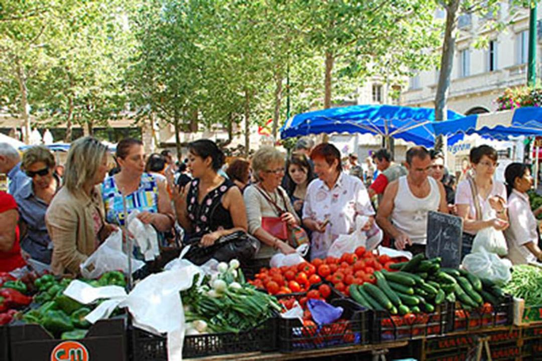 Photo of Human In Picture in Bastide Saint-Louis