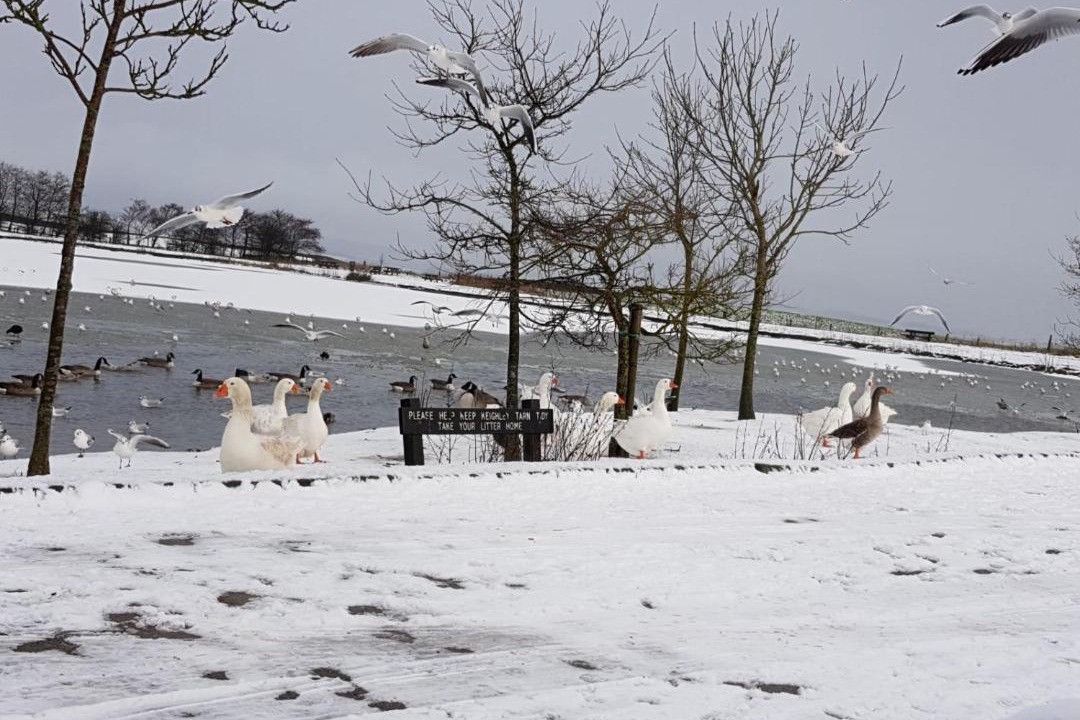 Photo of Others in Sutton-in-Craven