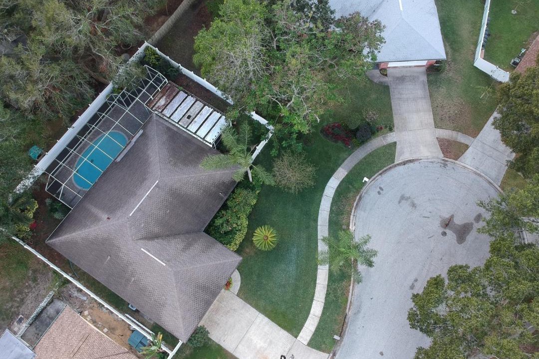 Photo of Others in Tarpon Springs