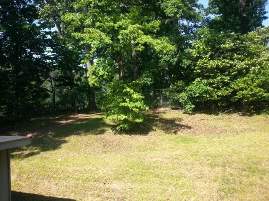 Photo of Outdoor in Stone Mountain