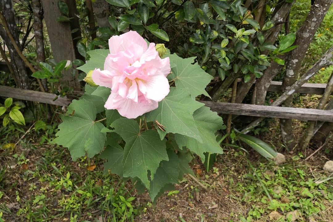 Photo of Outdoor in Seremban