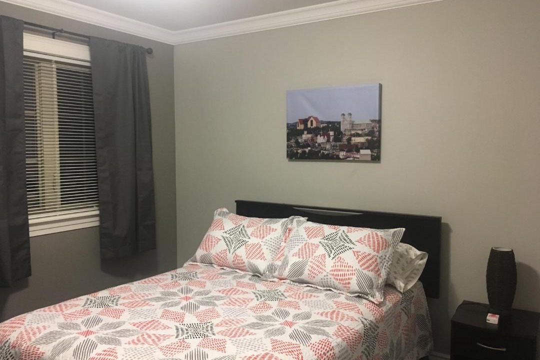 Photo of Others in Quidi Vidi