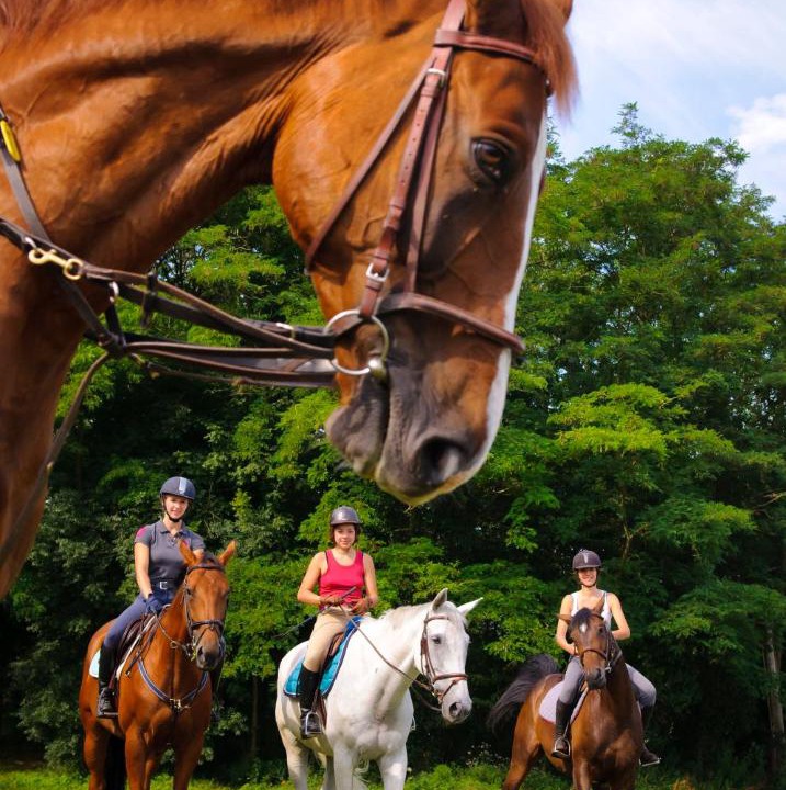 Photo of Others in Bois-le-Roi