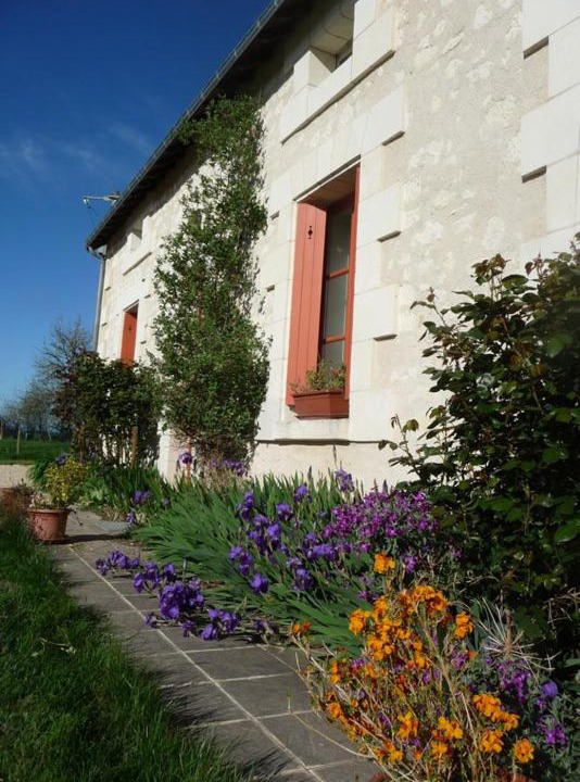 Photo of Buildings in Saint-Senoch