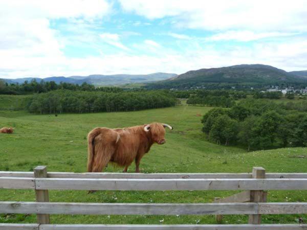 Photo of Others in Kingussie