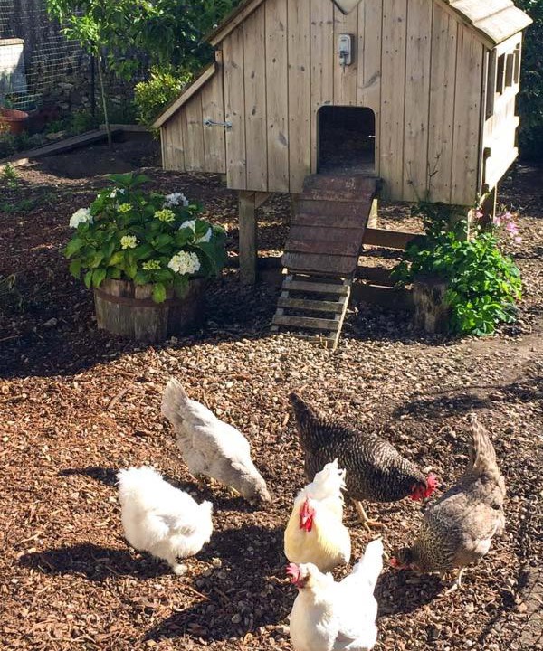 Photo of Others in Stanton Drew