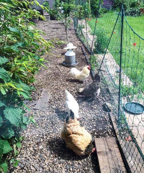 Photo of Patio Balcony in Stanton Drew